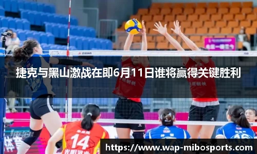 捷克与黑山激战在即6月11日谁将赢得关键胜利